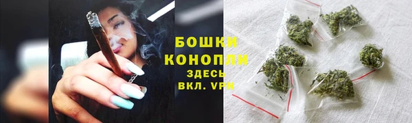 мяу мяу мука Пестово