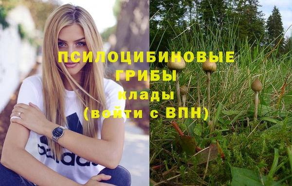 тгк Переславль-Залесский