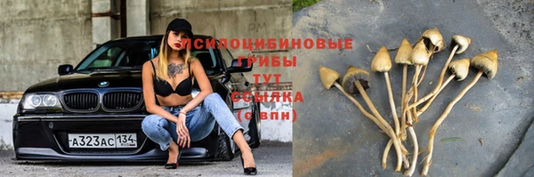 мяу мяу мука Пестово