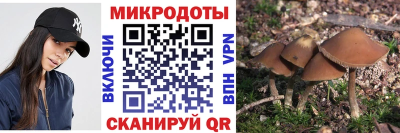 ссылка на мегу зеркало  Отрадное  Псилоцибиновые грибы мухоморы 