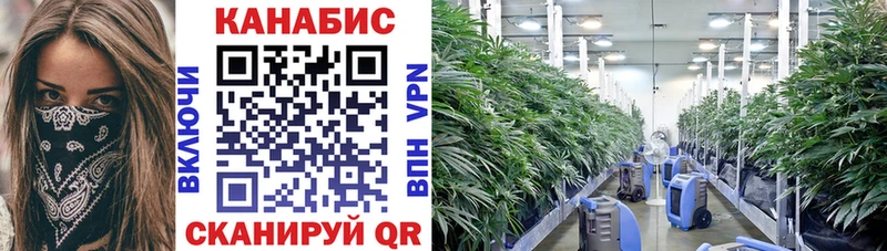 Каннабис конопля  купить наркотики сайты  Отрадное 